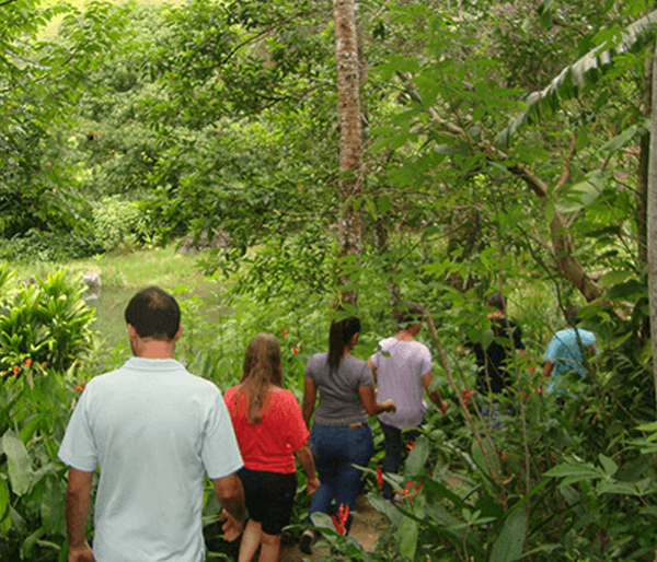 RPPN - Fazenda Bom Retiro - membro - Circuito EcoRural de Silva Jardim-RJ