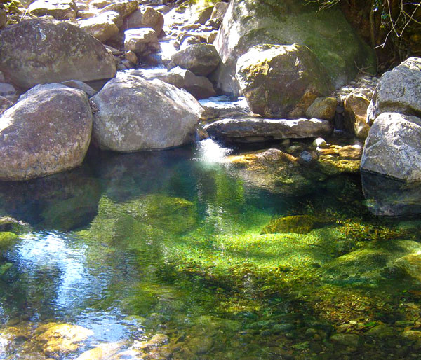 Instituto Rios Verdes - membro - Circuito EcoRural de Silva Jardim-RJ